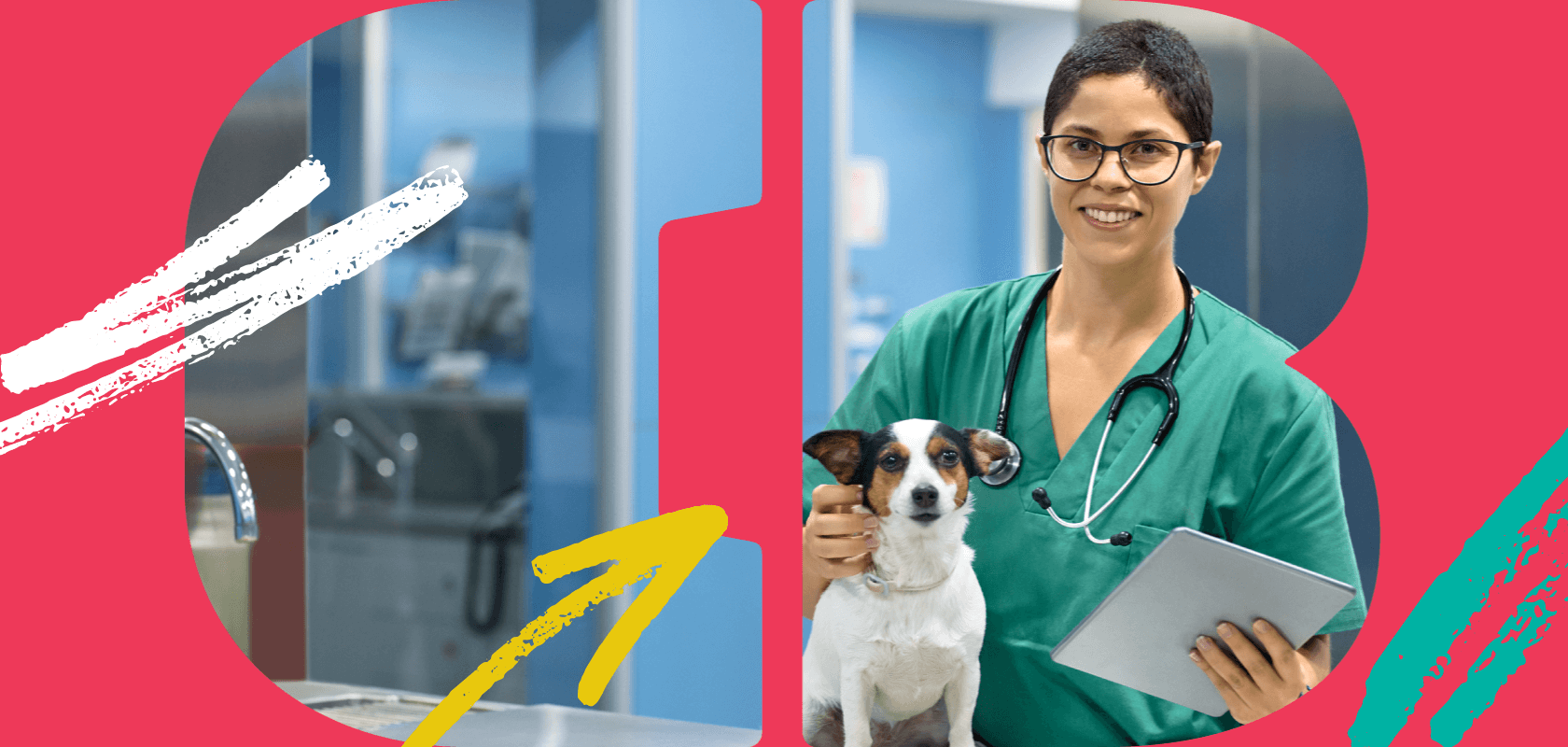 5 rewarding careers in animal health care (plus job-hunting tips)