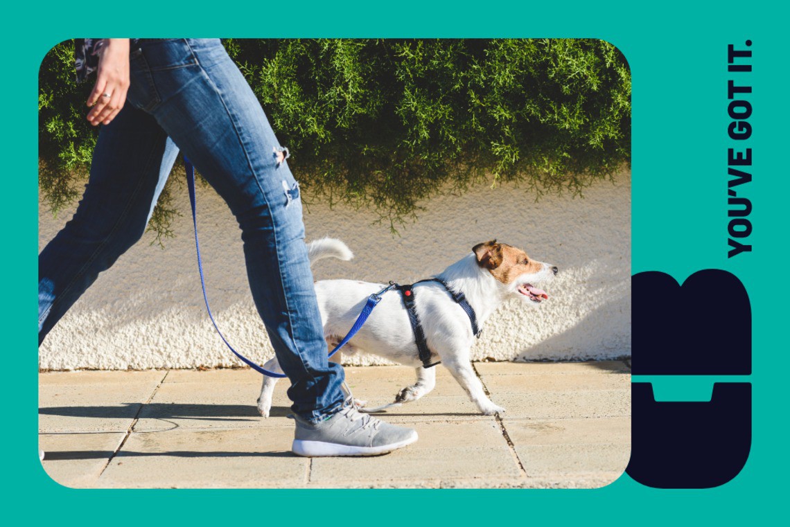 How to avoid being nervous for a job interview