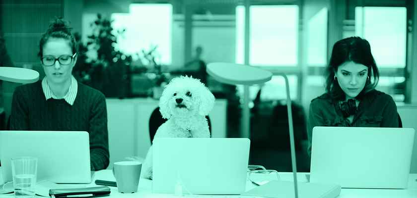 How to Write Job Descriptions That Don’t Suck