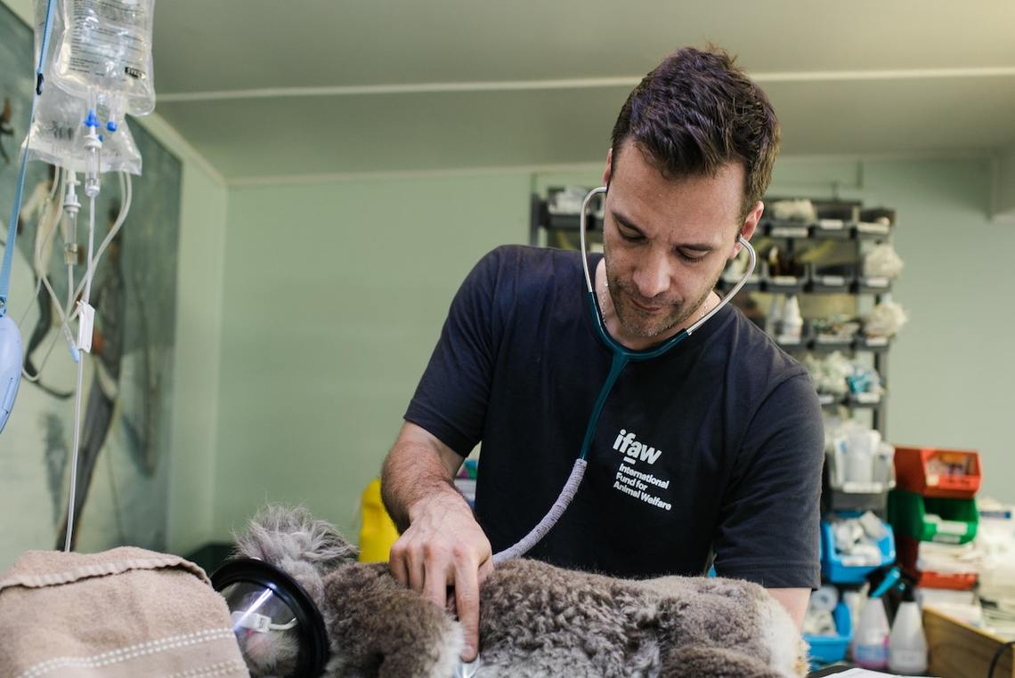 Jobs that make the most rewarding careers (and pay well)