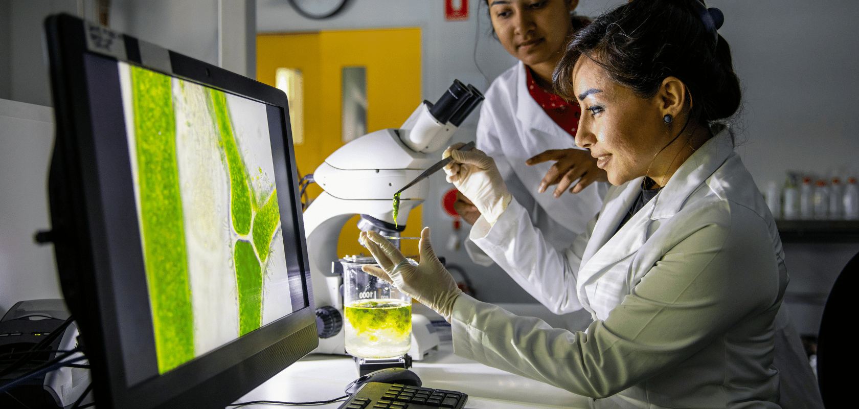 STEM careers with the most female workers