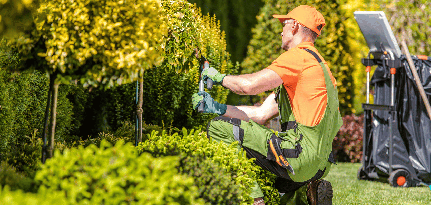 Get outside with these jobs for people who love the outdoors